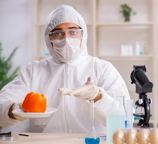 Scientist Working Lab Gmo Fruits Vegetables Royalty Free Stock Images