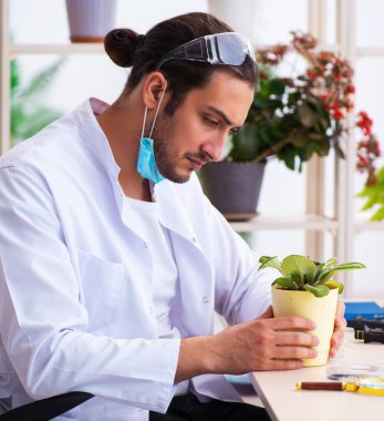 Laboratuvarda çalışan genç kimyager parfümcüsü.