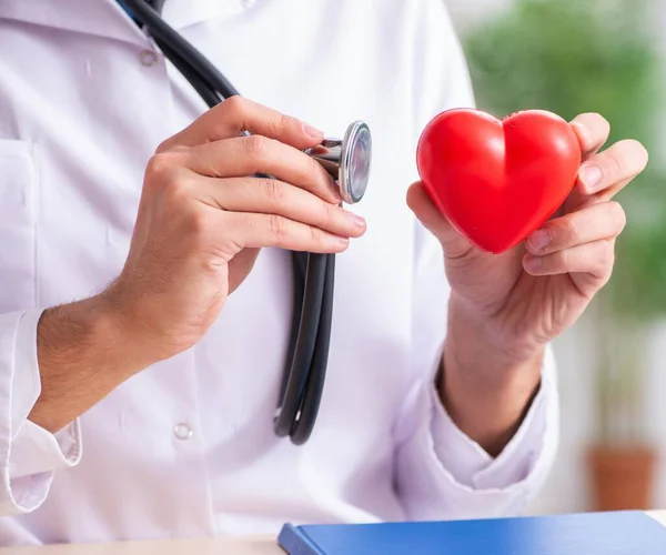 Den Manliga Läkaren Kardiolog Som Håller Hjärtat Modell — Stockfoto