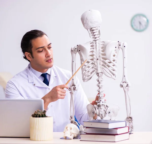 Junger Arzt Untersucht Menschliches Skelett — Stockfoto