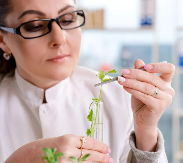 Den Kvinnliga Bioteknikforskaren Som Arbetar Labbet — Stockfoto