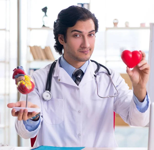 Młody Przystojny Lekarz Kardiolog Przed Tablicą — Zdjęcie stockowe