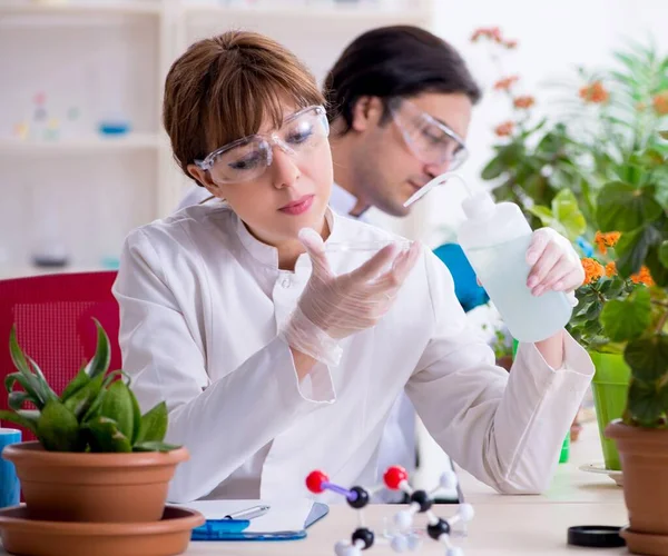Dois Jovens Botânicos Que Trabalham Laboratório — Fotografia de Stock
