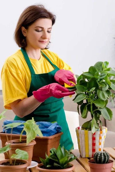Vrouwelijke Tuinman Met Planten Binnen — Stockfoto
