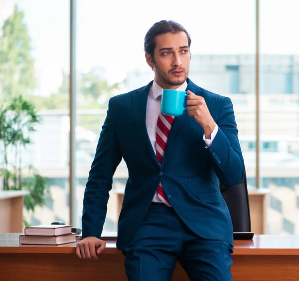 Young Attractive Male Employee Working Office — Stock Photo, Image
