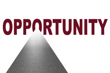 Başarıya giden yolda fırsat kavramı