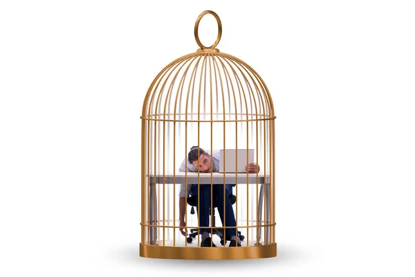Homme Affaires Pris Dans Cage Dans Concept Entreprise — Photo
