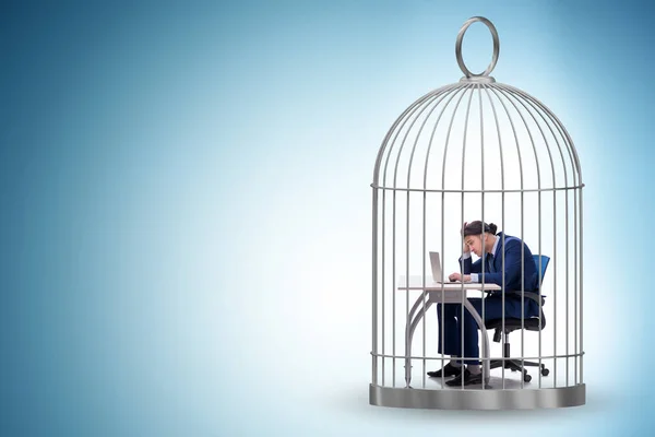 Businessman Caught Cage Business Concept — Stock Photo, Image