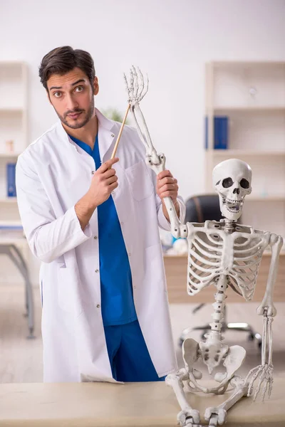 Jonge Mannelijke Arts Met Skelet Het Ziekenhuis — Stockfoto