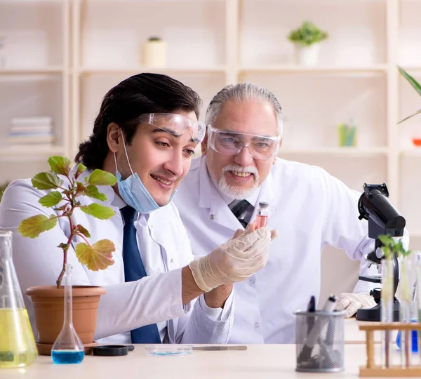 Dwóch Chemików Pracujących Laboratorium — Zdjęcie stockowe