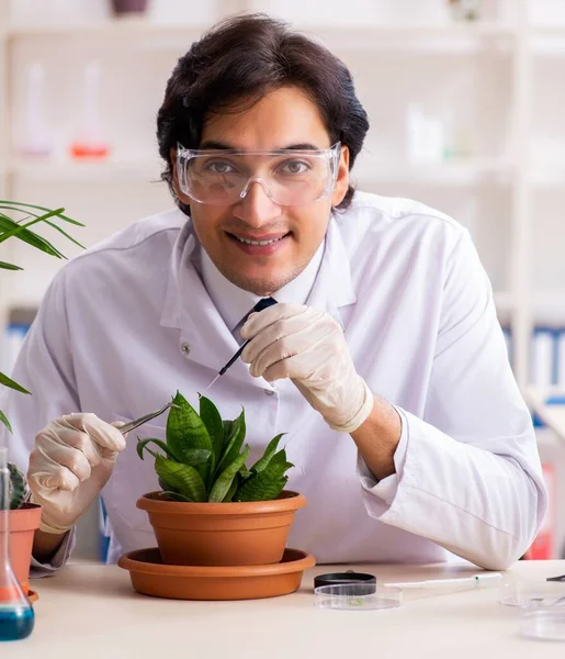 Biotechnologie Chemicus Die Het Lab Werkt — Stockfoto