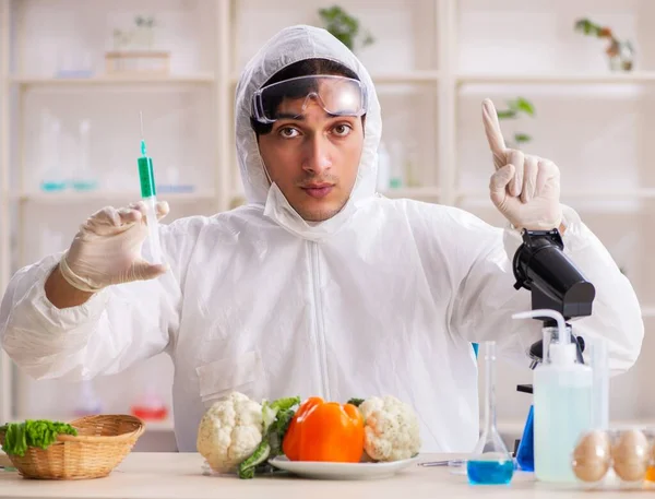 Científico Que Trabaja Laboratorio Gmo Frutas Verduras — Foto de Stock