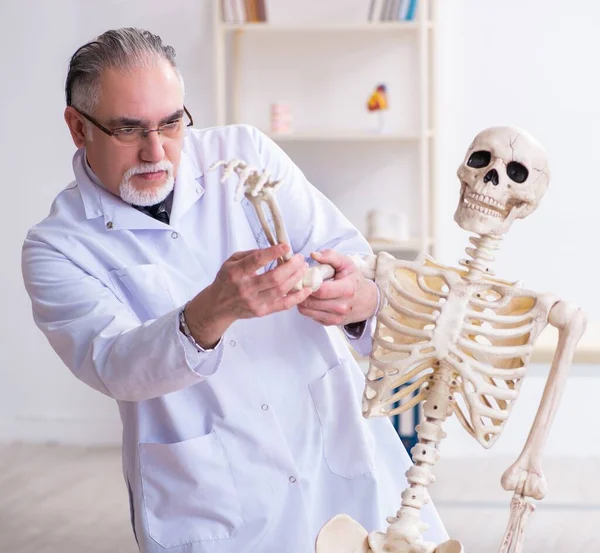 Anciano Doctor Con Esqueleto — Foto de Stock