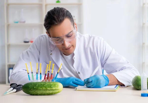 Эксперт Мужскому Питанию Тестирует Овощи Лаборатории — стоковое фото
