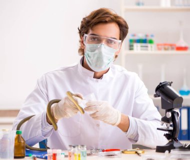 Erkek bilim adamı uyuşturucu sentezi için yılandan zehir çıkarıyor.