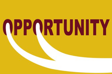 Başarıya giden yolda fırsat kavramı