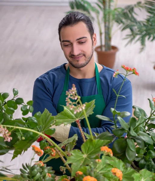 Jonge Tuinman Met Planten Binnen — Stockfoto