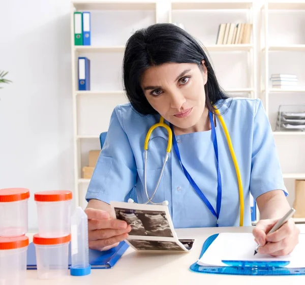 Female Doctor Gynecologist Working Clinic — Stock Photo, Image