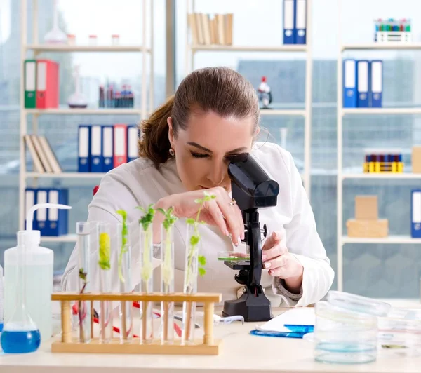 Científica Química Biotecnología Que Trabaja Laboratorio —  Fotos de Stock