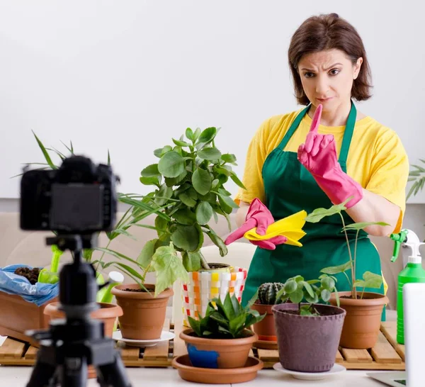 成長している植物を説明する女性ブロガー — ストック写真