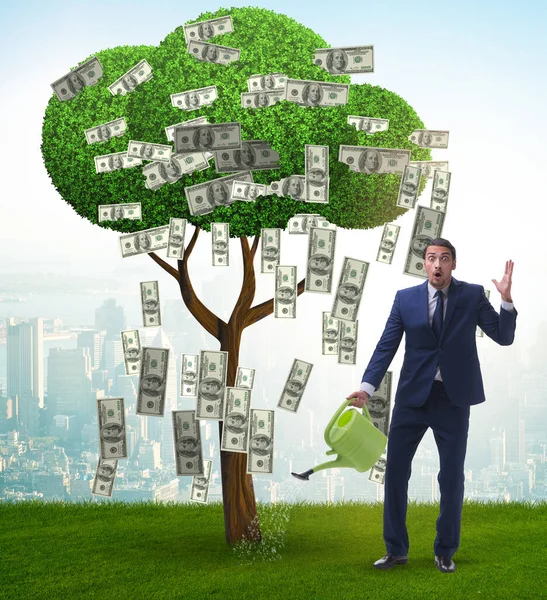 Бізнесмен Поливає Грошове Дерево Інвестиційній Концепції — стокове фото