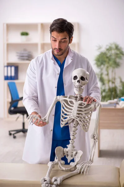 Jonge Mannelijke Arts Met Skelet Het Ziekenhuis — Stockfoto
