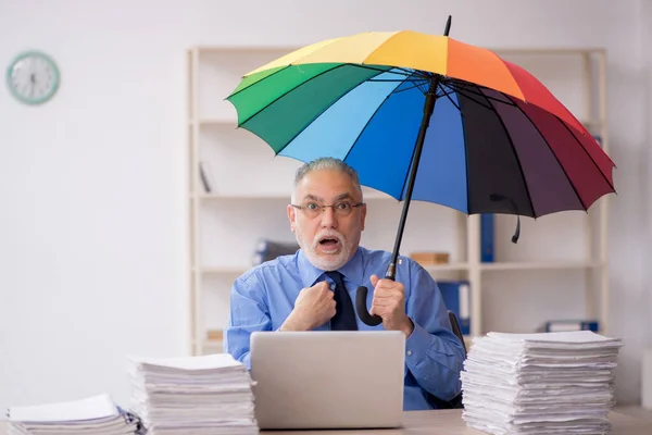 Old Employee Holding Umbrella Workplace — Stockfoto