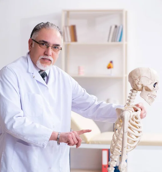 Den Äldre Manliga Läkaren Med Skelett — Stockfoto