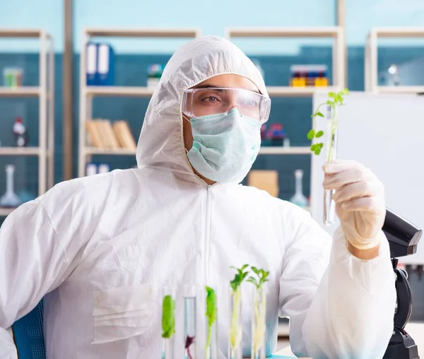 在实验室工作的男性生物技术科学家化学家 — 图库照片