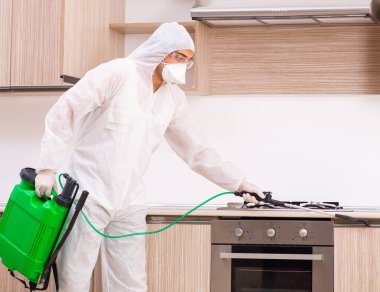 Mutfakta haşere kontrolü yapan profesyonel müteahhit.