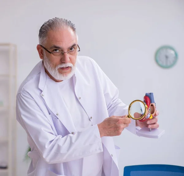 Oude Cardioloog Legt Menselijke Hartstructuur Uit — Stockfoto