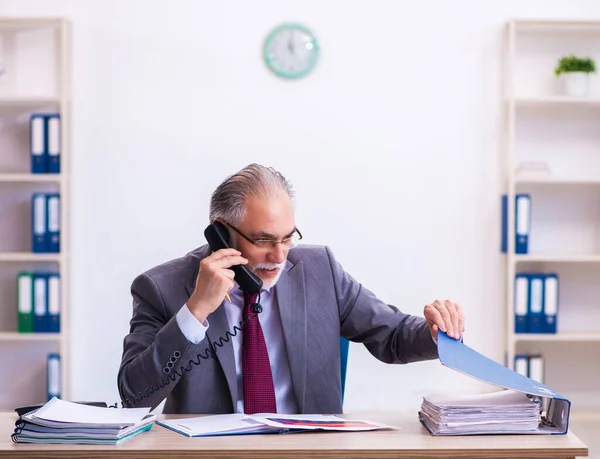 Experienced Employee Working Office — Stock Photo, Image