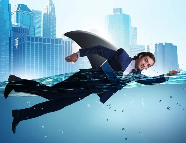 サメのヒレを水中で泳いでいるビジネスマン — ストック写真