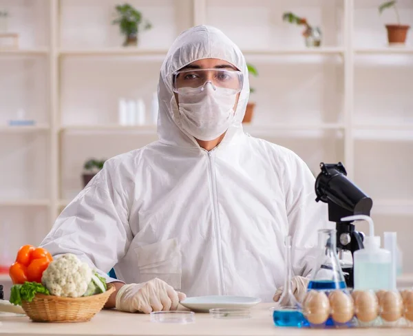 Laboratuvarda Çalışan Bilim Adamı Gmo Meyveleri Sebzeler Üzerinde Çalışıyor — Stok fotoğraf