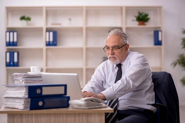 stock image Old businessman employee working at workplace