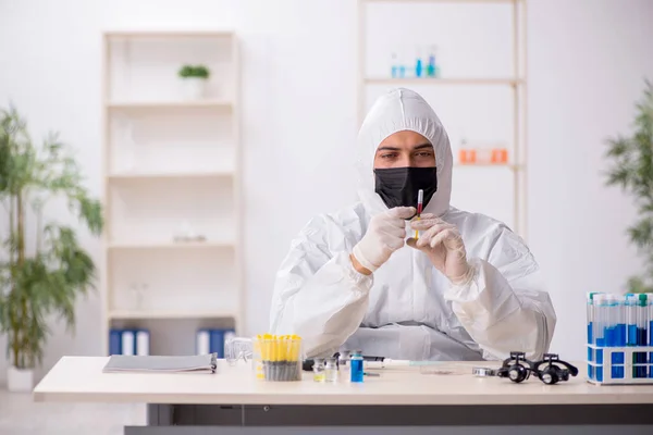 Jovem Químico Que Trabalha Laboratório Durante Pandemia — Fotografia de Stock