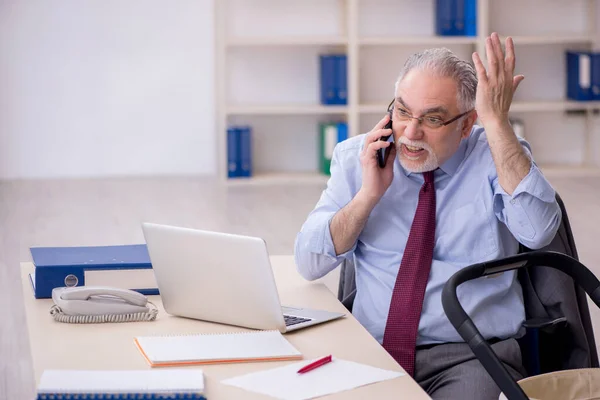 Old Businessman Employee Looking New Born Office — Stock Photo, Image