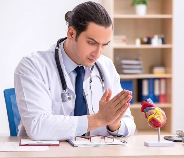 Young Doctor Lecturer Cardiologist Working Clinic — Stock Photo, Image