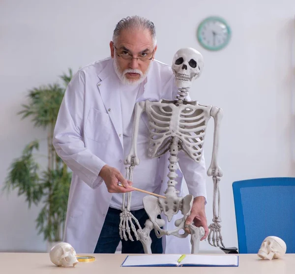 Viejo Profesor Anatomía Demostrando Esqueleto Humano — Foto de Stock