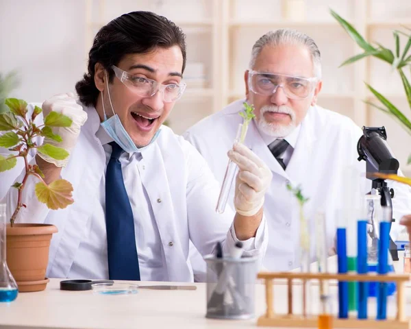 在实验室工作的两名化学家 — 图库照片