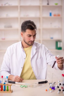 Young chemist sitting at the lab