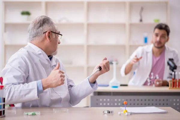 Two Chemists Working Lab — Foto Stock