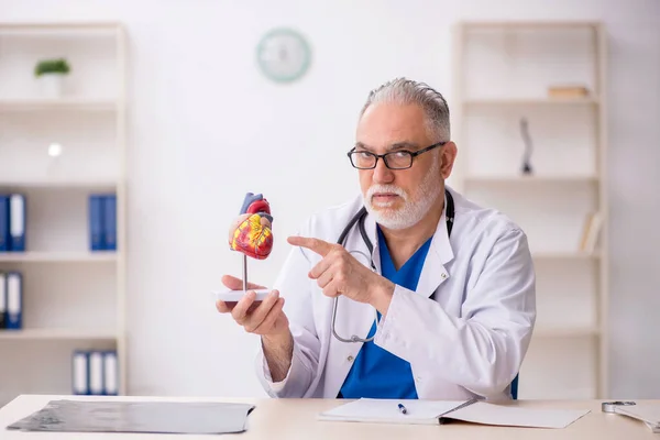Old Doctor Cardiologist Working Hospital — Stock Photo, Image
