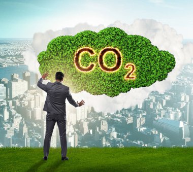 Sera gazı emisyonlarının ekolojik kavramı