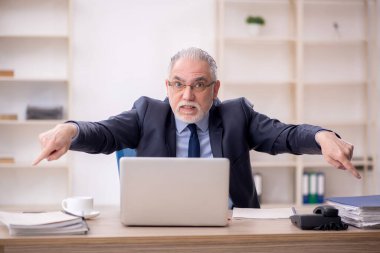 Old employee working at workplace