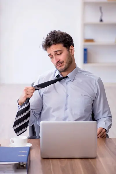 Young Employee Working Office — Stock Photo, Image