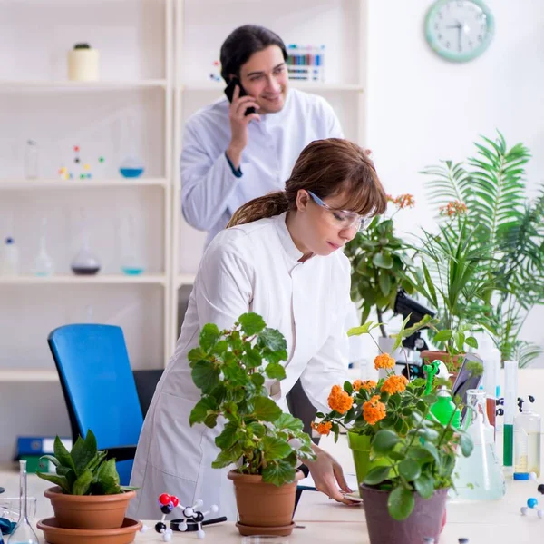 Dwaj Młodzi Botanik Pracujący Laboratorium — Zdjęcie stockowe