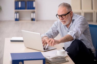 Old employee working at workplace