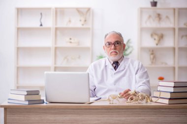 Eski paleontolog laboratuvarda eski hayvanları inceliyor.