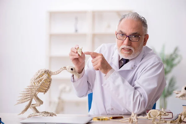 Vecchio Paleontologo Che Esamina Animali Antichi Laboratorio — Foto Stock